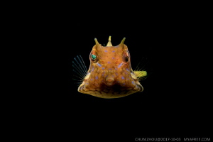 Face to face, eye to eye by Chun Zhou 